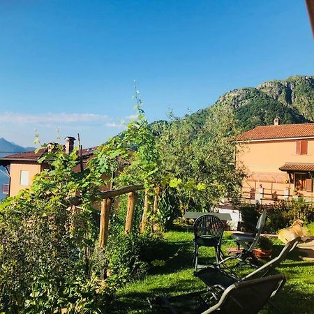 Agriturismo Botton D'Oro Dongo Dış mekan fotoğraf